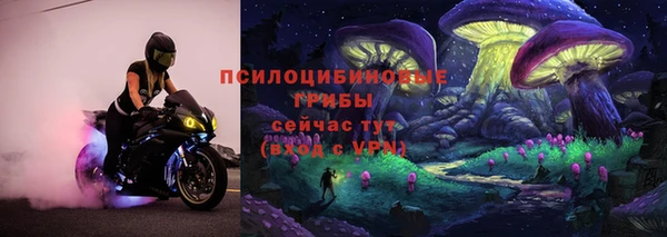 молекула духа Нефтекумск