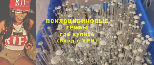спиды Нея