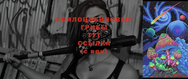 меф Новодвинск