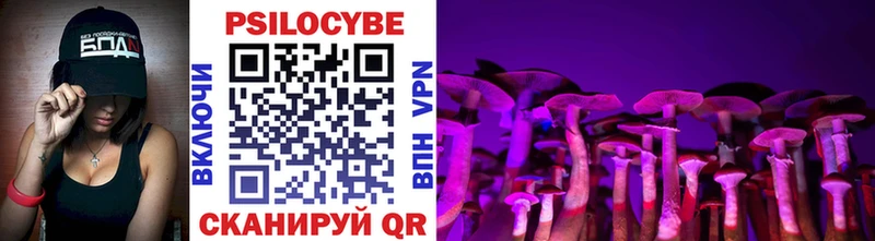 Галлюциногенные грибы Psilocybe  Фёдоровский 